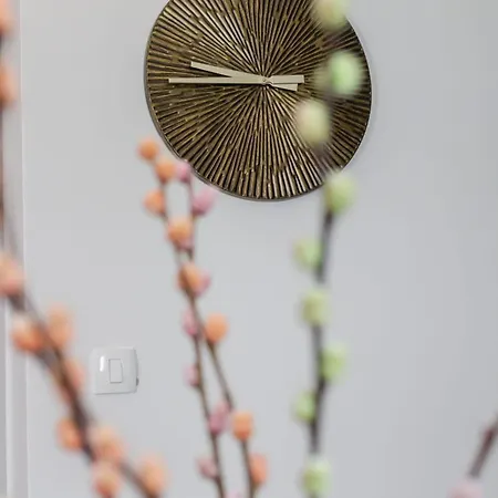 Apartment Antico *