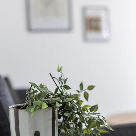 Apartment Antico *